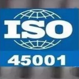 ISO 45001(2018版) 職業(yè)健康與安全管理體系標準